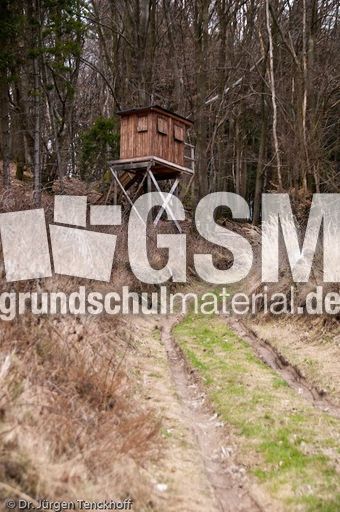 Hochstände (137 von 154).jpg